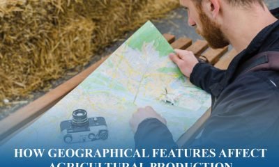 How soil, water, and climate drive agricultural output and global food production