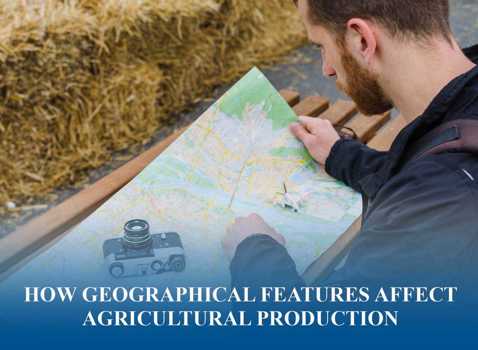 How soil, water, and climate drive agricultural output and global food production